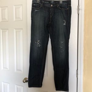 Ann Taylor Loft jeans